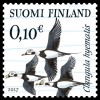 finland-faglar-170509-010